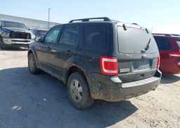 2011 FORD ESCAPE XLT