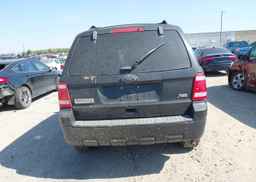 2011 FORD ESCAPE XLT