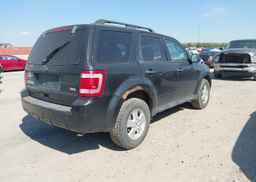 2011 FORD ESCAPE XLT