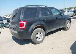 2011 FORD ESCAPE XLT