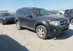 2011 FORD ESCAPE XLT