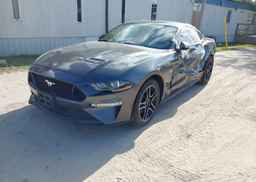 2019 FORD MUSTANG GT