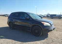 2007 HONDA CR-V