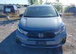 2025 HONDA ODYSSEY BLACK EDITION