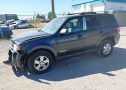 2008 FORD ESCAPE XLT