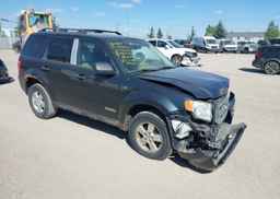 2008 FORD ESCAPE XLT