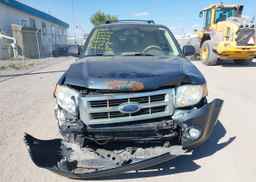 2008 FORD ESCAPE XLT