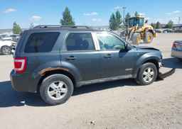 2008 FORD ESCAPE XLT