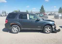 2008 FORD ESCAPE XLT