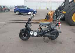 2024 HONDA NPS50