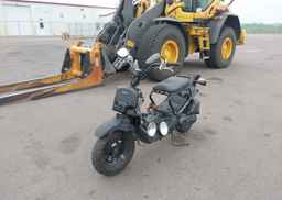 2024 HONDA NPS50