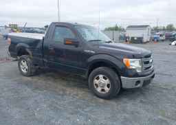 2013 FORD F150