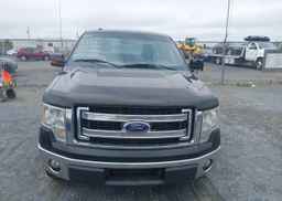 2013 FORD F150
