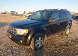 2010 FORD ESCAPE XLT AUTOMATIC