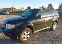 2010 FORD ESCAPE XLT AUTOMATIC