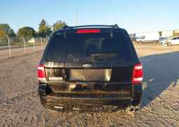 2010 FORD ESCAPE XLT AUTOMATIC