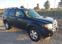 2010 FORD ESCAPE XLT AUTOMATIC