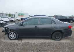 2010 TOYOTA COROLLA CE