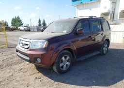 2009 HONDA PILOT