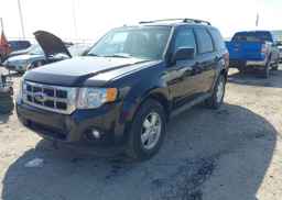 2011 FORD ESCAPE XLT