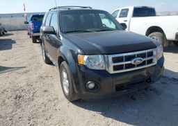 2011 FORD ESCAPE XLT