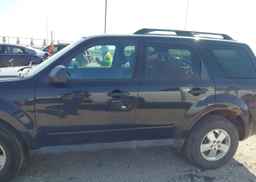 2011 FORD ESCAPE XLT