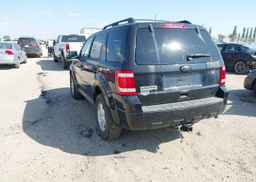 2011 FORD ESCAPE XLT