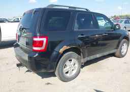 2011 FORD ESCAPE XLT