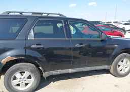 2011 FORD ESCAPE XLT