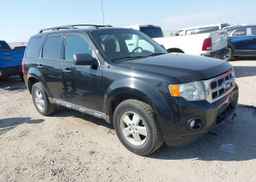 2011 FORD ESCAPE XLT