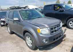 2012 FORD ESCAPE XLT