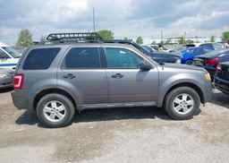 2012 FORD ESCAPE XLT