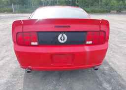 2006 FORD MUSTANG V6