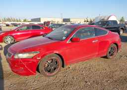 2008 HONDA ACCORD EXL