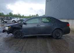 2009 TOYOTA COROLLA