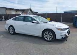 2019 CHEVROLET MALIBU