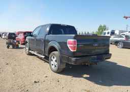 2010 FORD F150 SUPERCREW