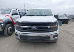 2024 FORD F150 XLT