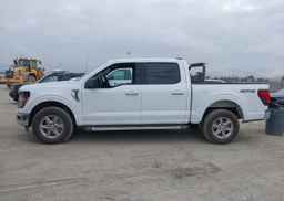 2024 FORD F150 XLT
