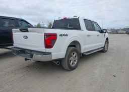 2024 FORD F150 XLT