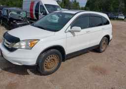 2010 HONDA CR-V EX