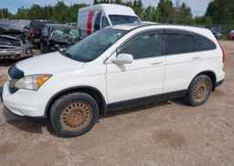2010 HONDA CR-V EX