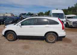 2010 HONDA CR-V EX