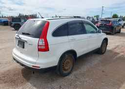2010 HONDA CR-V EX