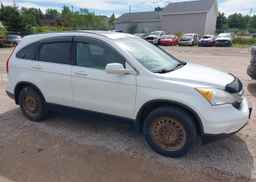 2010 HONDA CR-V EX