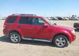 2010 FORD ESCAPE LIMITED