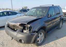 2006 FORD ESCAPE XLT