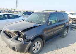 2006 FORD ESCAPE XLT