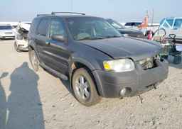 2006 FORD ESCAPE XLT