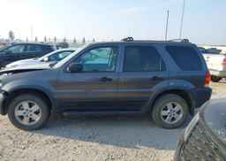 2006 FORD ESCAPE XLT